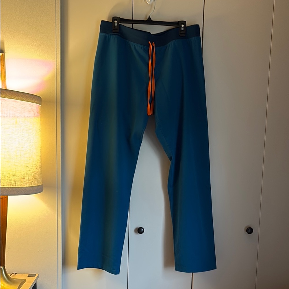 Alps blue figs scrub pants